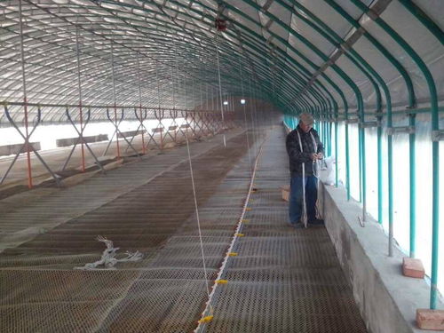 銅陵平菇大棚建造 濰坊三禾農(nóng)業(yè)全國(guó)施工與免費(fèi)設(shè)計(jì)報(bào)價(jià)服務(wù)